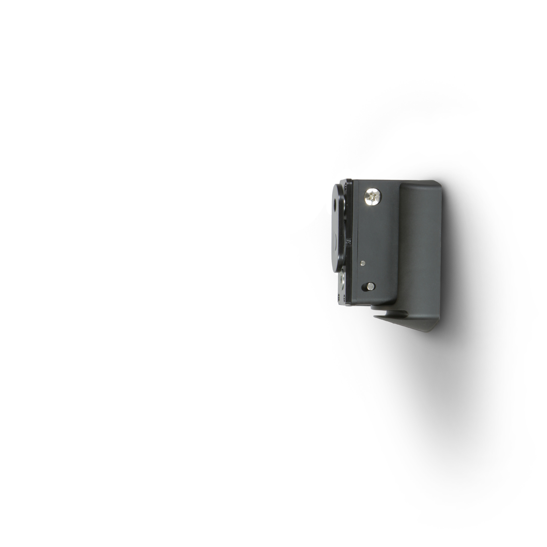 Bluesound Pulse Bracket 100