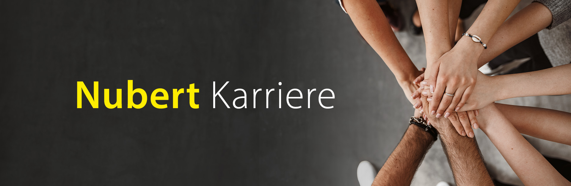 Header Nubert Karriere