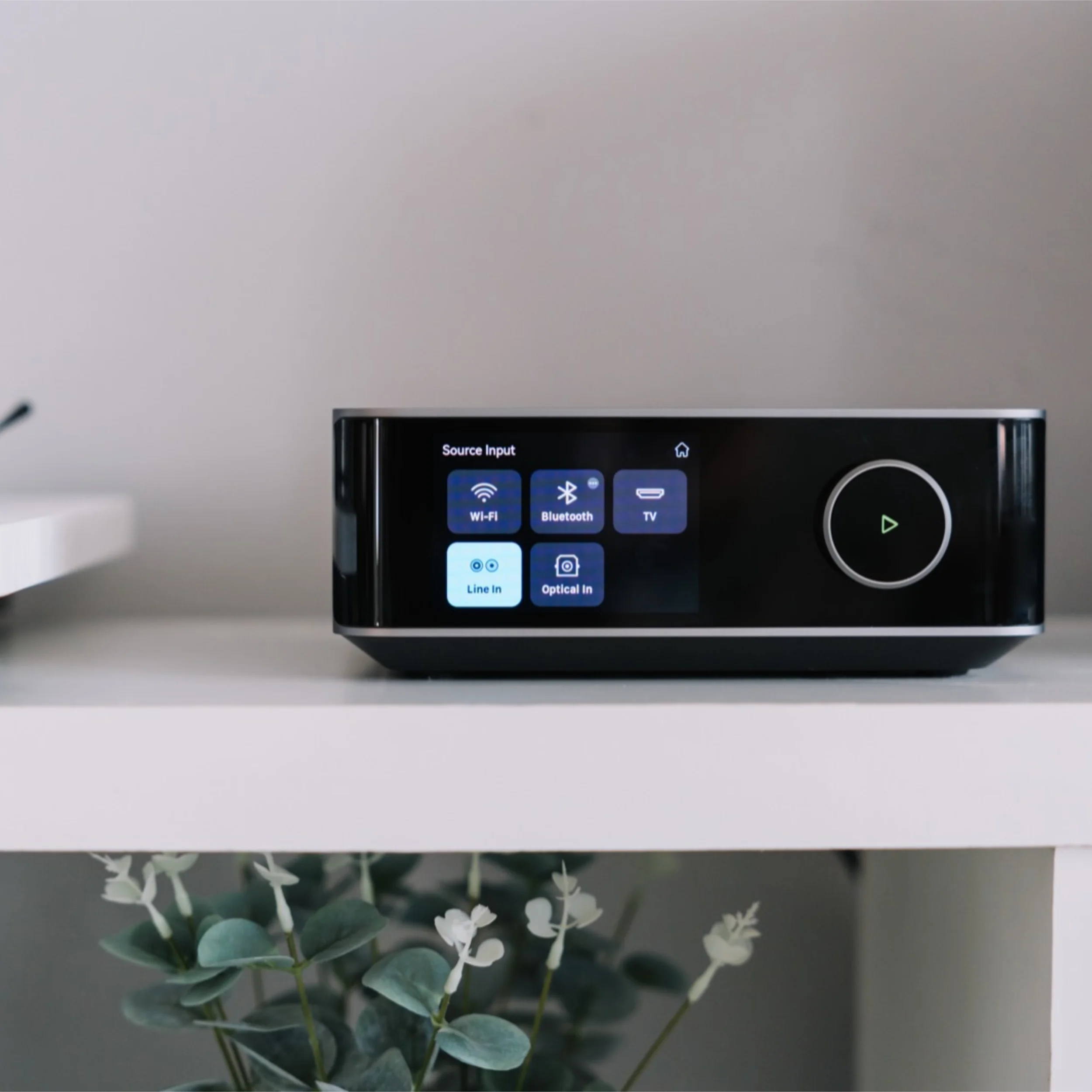 WiiM Amp Ultra Environment