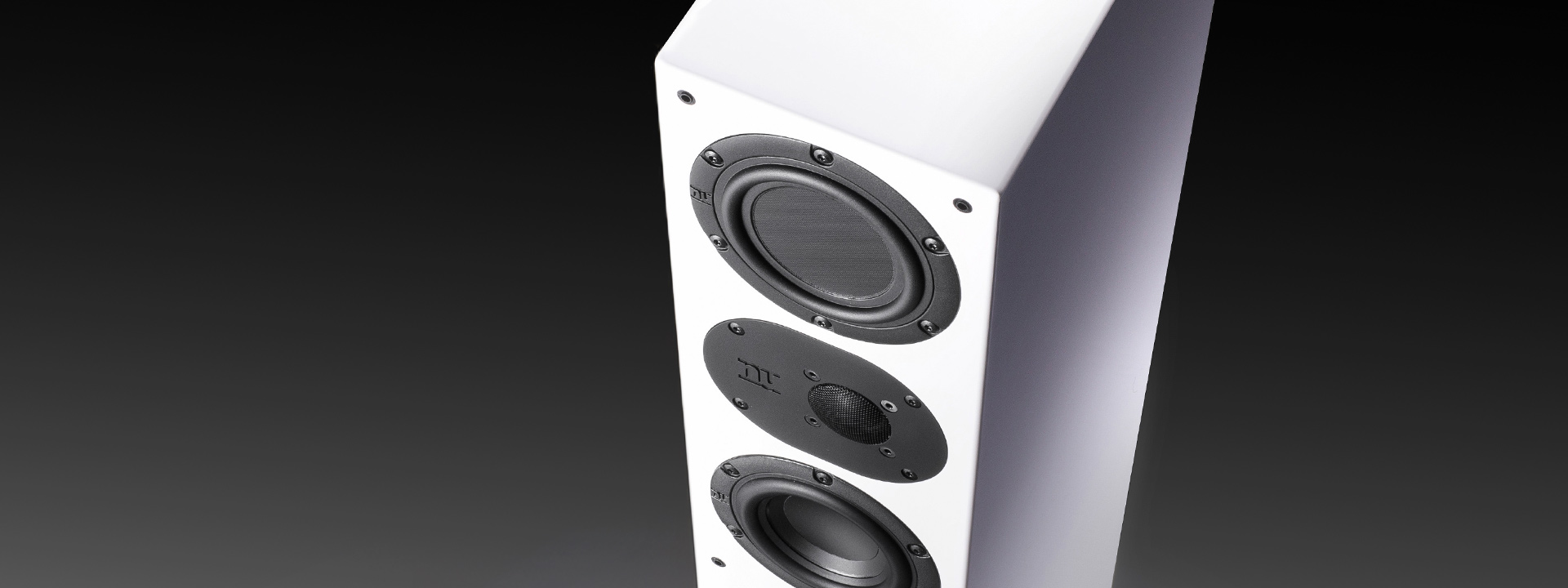 nuLine floorstanding loudspeakers  nuLine floorstanding loudspeakers