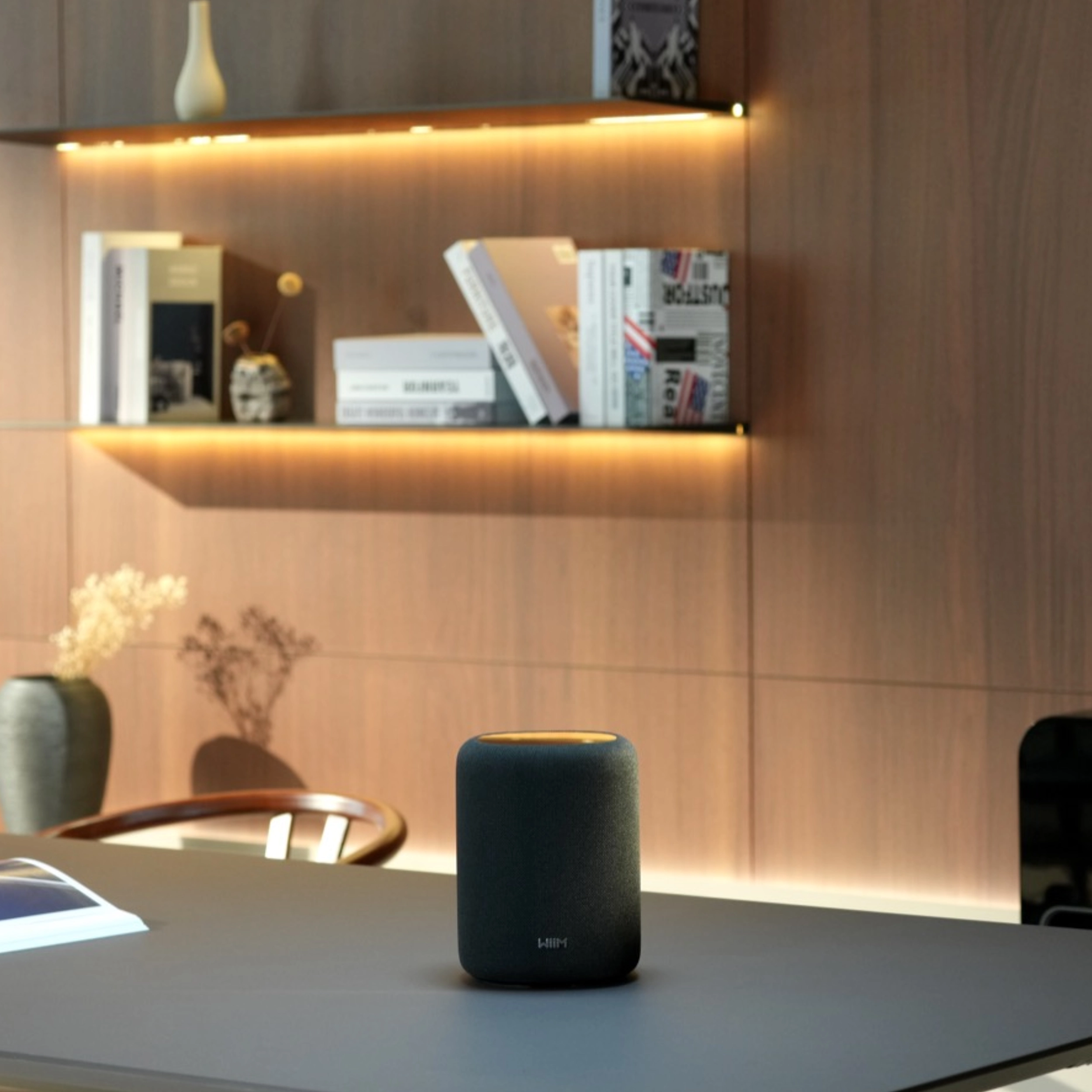 WiiM Sound Lite Environment