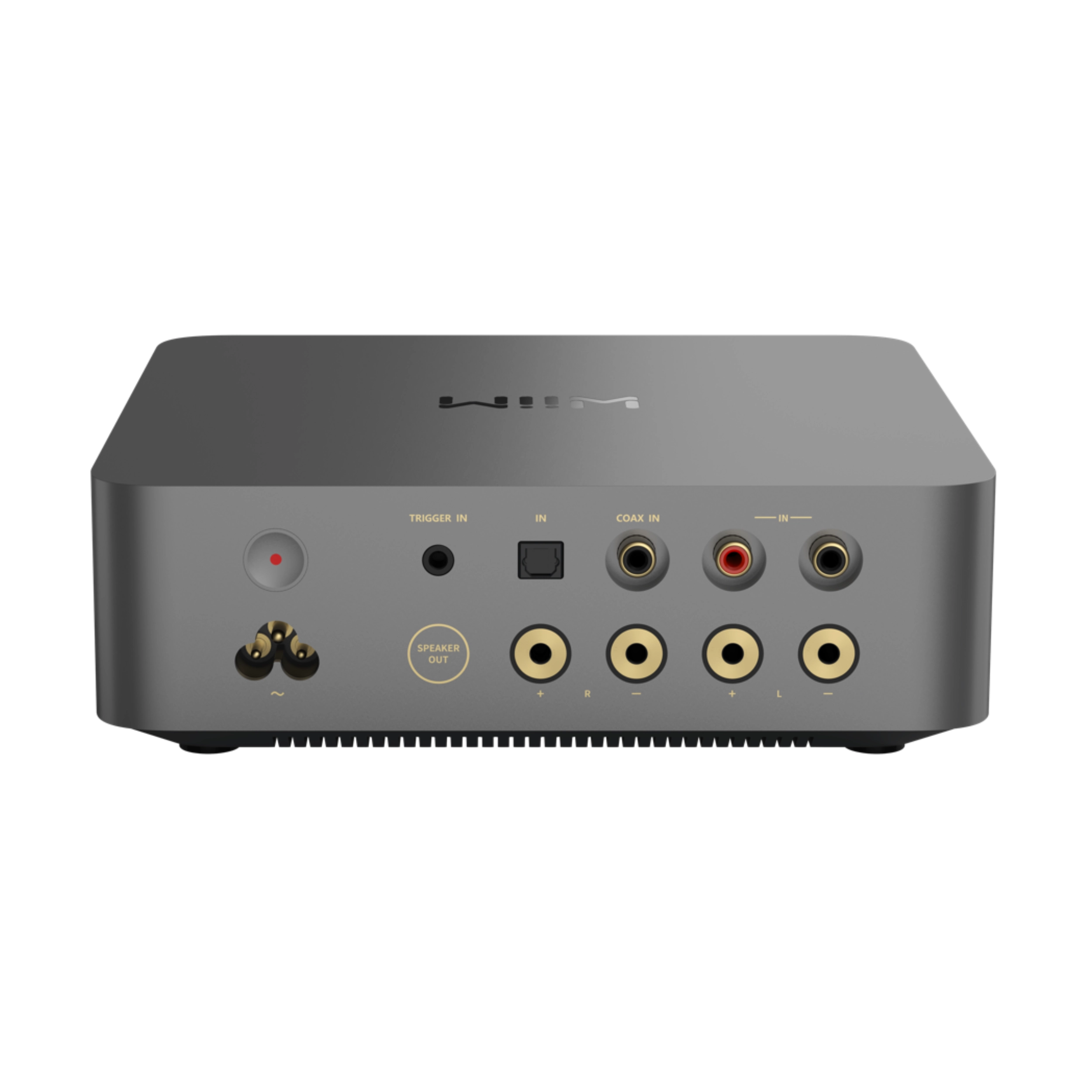 WiiM Vibelink Amp hinten