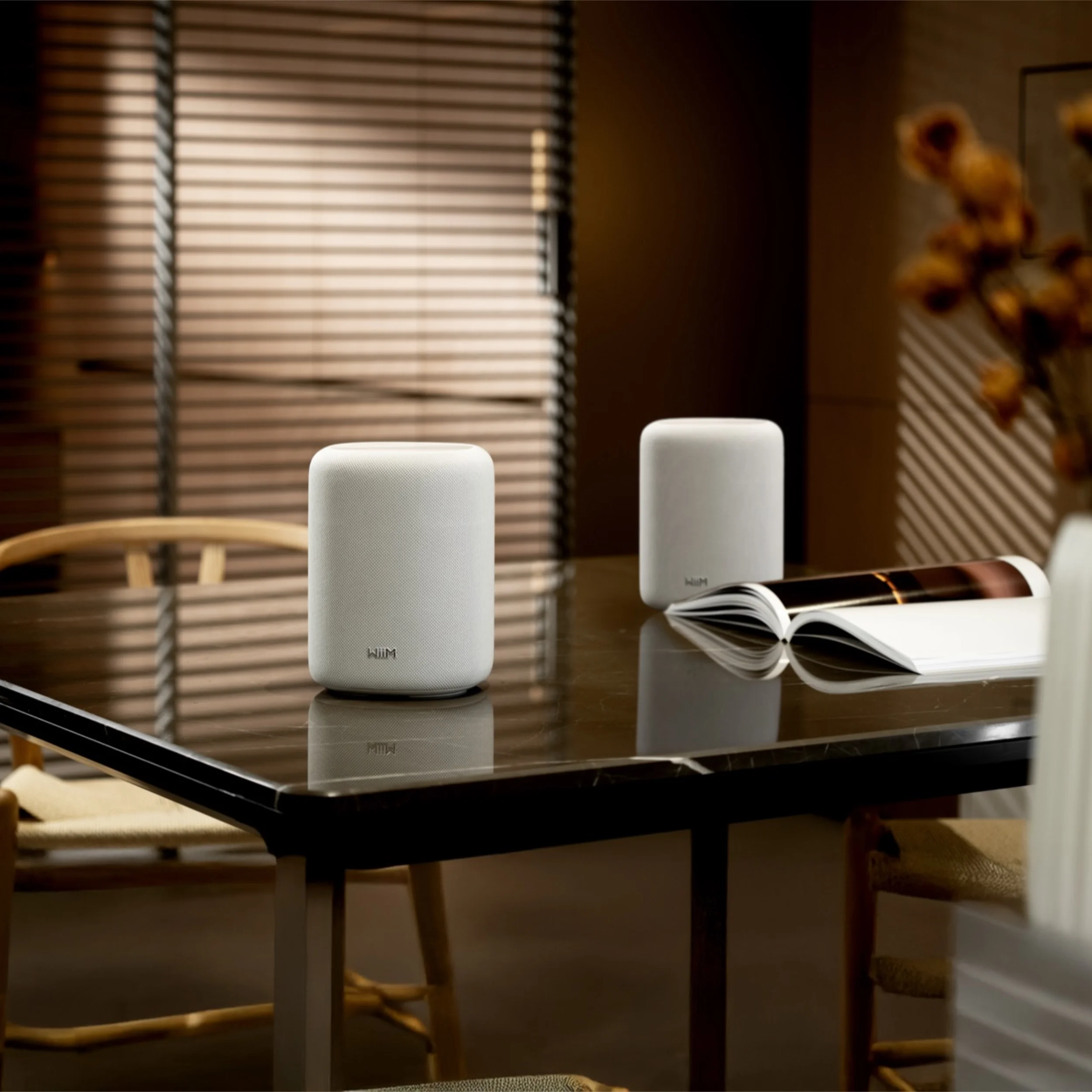 WiiM Sound Lite Twin Pack Ambiente Weiß