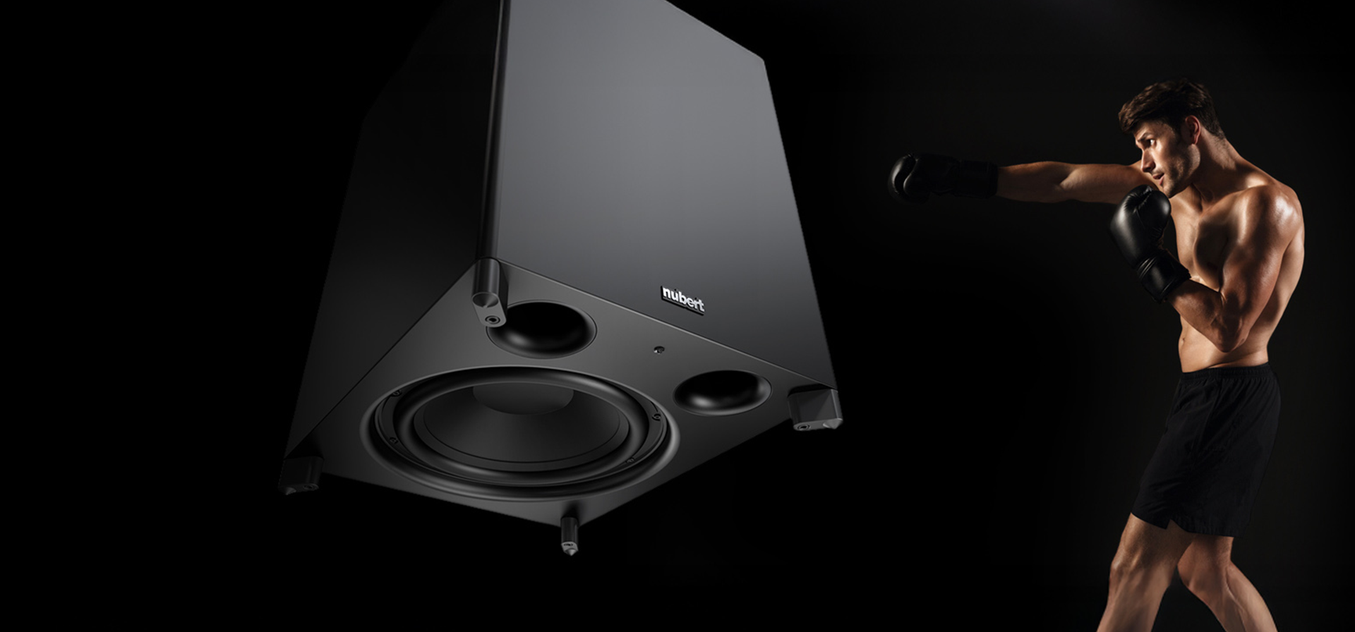Header Subwoofer