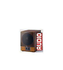 Audio Icon Audio Icon