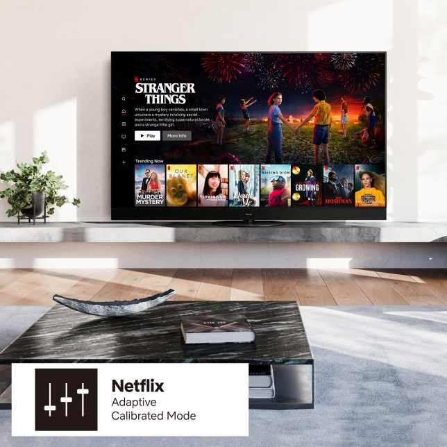Modernes Wohnzimmer mit Fernseher, auf dem die Netflix-Oberfläche angezeigt wird. Modernes Wohnzimmer mit Fernseher, auf dem die Netflix-Oberfläche angezeigt wird.