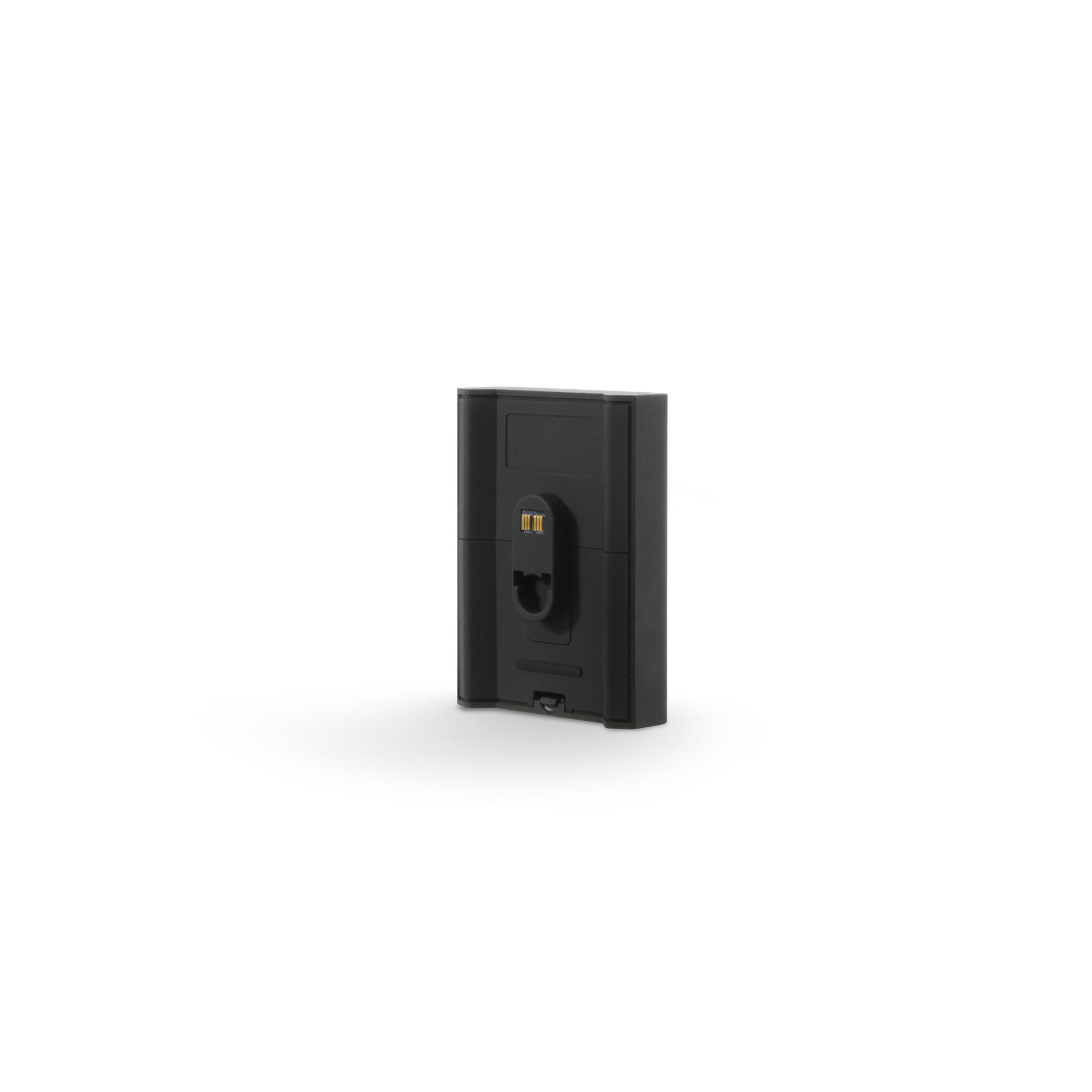 Bluesound Batteriepack BP 100 schwarz  Anschluss Bluesound Batteriepack BP 100 schwarz  Anschluss