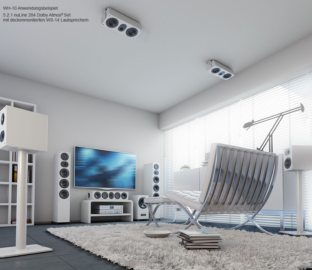 Deckenhalter WH-10 montiert Deckenhalter WH-10 montiert