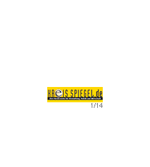 Kreisspiegel Icon Kreisspiegel Icon